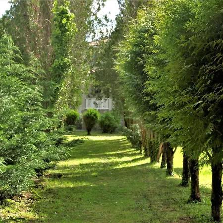 Hostal Pallanes *